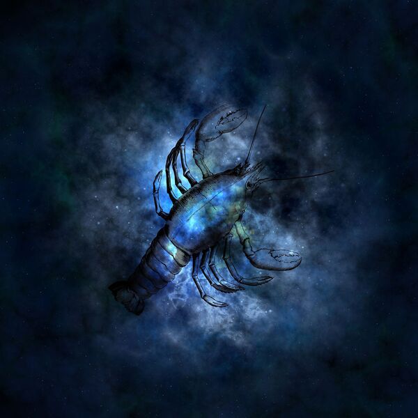 2019 թվականի հորոսկոպ. ինչպիսի՞ն կլինի Խոզի տարին Կենդանակերպի նշանների համար - Sputnik Արմենիա