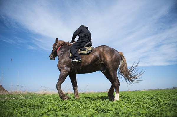 В Кыргызстане оплакивают смерть гигантского коня, оцененного в миллион долларов - видео - Sputnik Армения