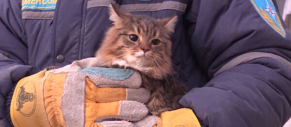 Ситуация в Магнитогорске в связи с обрушением подъезда жилого дома Ситуация в Магнитогорске в связи с обрушением подъезда жилого дома - Sputnik Армения