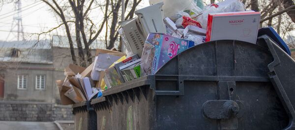 Мусорный бак компании Санитек Мусорный бак компании Санитек - Sputnik Արմենիա