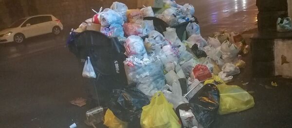Пвереполненный мусорный бак перекрестке улуц Нар-Доса и Ростоми (31 декабря 2018). Еревaн - Sputnik Արմենիա
