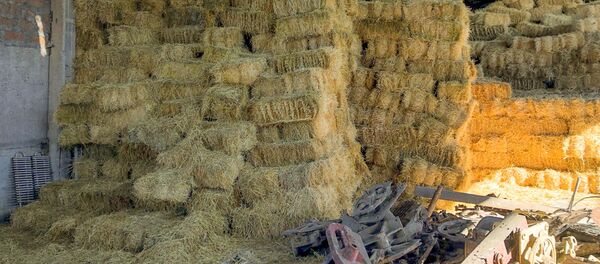 Склад соломы на производстве соломенных брикетов - Sputnik Արմենիա