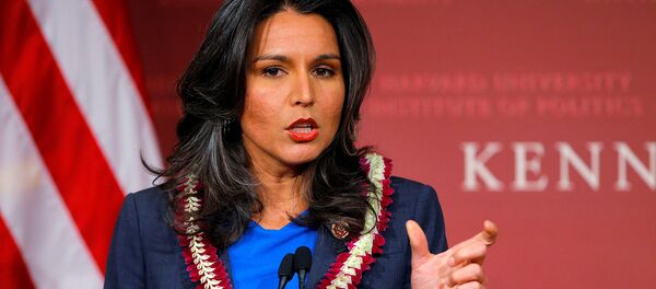 Выступление Тулси Габбард после награждения премией Frontier Award в школе Правительства Кеннеди Гарвардского университета (25 ноября 2013). Кембридж - Sputnik Армения
