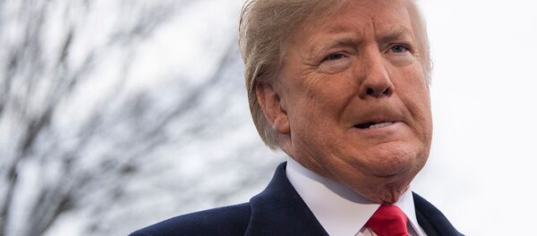 Президент США Дональд Трамп ответил на вопросы журналистов перед вылетом в Новый Орлеан, штат Луизиана (14 января 2019). Вашингтон - Sputnik Армения