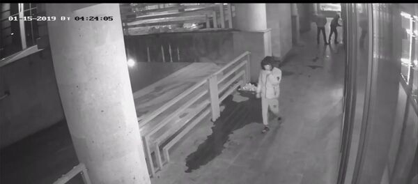 Попытка взлома двери ресторана Cinnabon (15 января 2019) Попытка взлома двери ресторана Cinnabon (15 января 2019) - Sputnik Армения