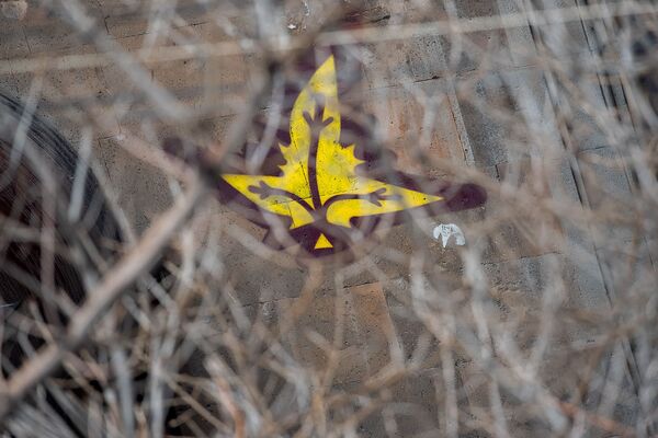 Эффект присутствия: кто оставил загадочные рисунки кленового листа на зданиях Еревана? - Sputnik Армения