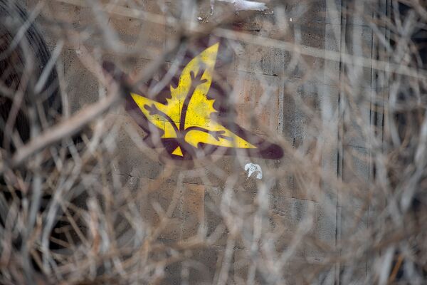 Սև ու մութ ուժե՞րն են. ո՞վ է նկարում թխկու առեղծվածային տերևները երևանյան շենքերին Սև ու մութ ուժե՞րն են. ո՞վ է նկարում թխկու առեղծվածային տերևները երևանյան շենքերին - Sputnik Արմենիա