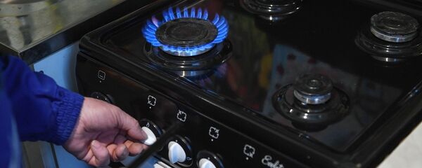 Проверка газового оборудования - Sputnik Արմենիա