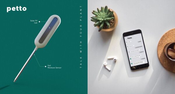 Բարև, ես կակտուսն եմ, ջրիր ինձ. հայ ինժեներները բույսերին կսովորեցնեն «խոսել» մարդկանց հետ - Sputnik Արմենիա