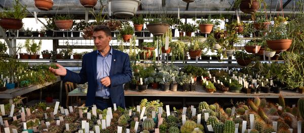 Оранжереи Центрального Сибирского ботанического сада СО РАН - Sputnik Армения