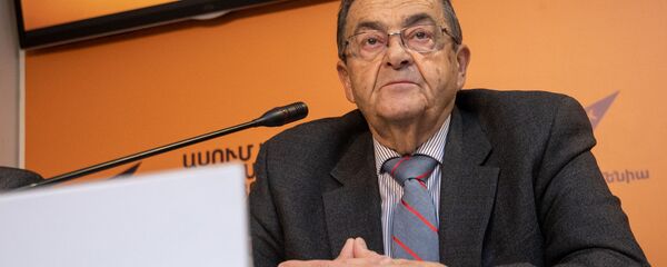 Пресс-конференция по вопросу возможного помилования Мгера Енокяна (24 января 2019). Еревaн Пресс-конференция по вопросу возможного помилования Мгера Енокяна (24 января 2019). Еревaн - Sputnik Армения