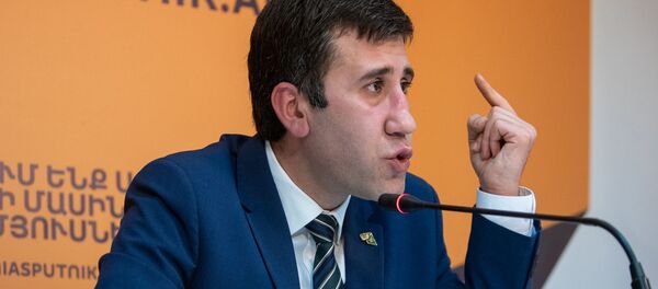 Пресс-конференция по вопросу возможного помилования Мгера Енокяна (24 января 2019). Еревaн - Sputnik Արմենիա