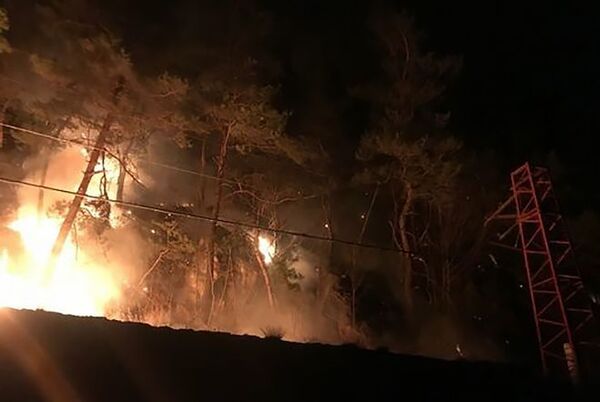 Крупный пожар в лесах Армении — огонь приходится тушить вручную - Sputnik Армения
