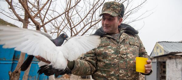 Военнослужащий-контрактник ВС Армении Военнослужащий-контрактник ВС Армении - Sputnik Արմենիա
