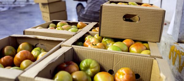 Агроцентр Дружино в Омской области - Sputnik Արմենիա