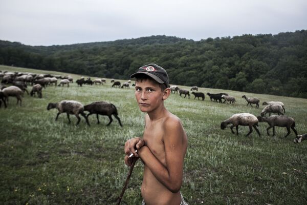 Снимок Young Shepherd молдавского фотографа Ilya Bugaev, вошедший в шорт-лист конкурса 2019 Sony World Photography Awards в категории Youth  - Sputnik Армения