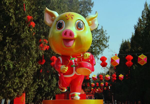 Չինաստանի բնակիչները դիմավորեցին Հողեղեն խոզի տարին - Sputnik Արմենիա