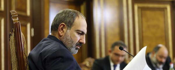 Премьер-министр Никол Пашинян на встрече с виноделами (6 февраля 2019). Еревaн - Sputnik Армения