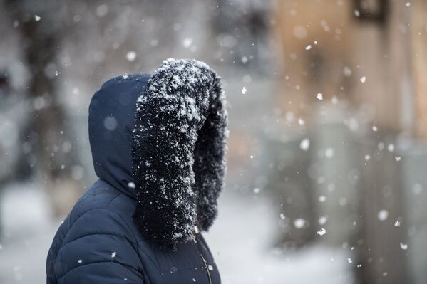 25 января всю территорию республики Армения завалило обильным снегом - Sputnik Армения