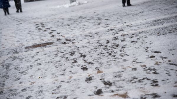 Ձմեռ - Sputnik Արմենիա