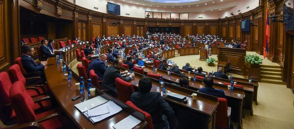 Внеочередное заседание парламента Армении (14 февраля 2019). Еревaн - Sputnik Արմենիա