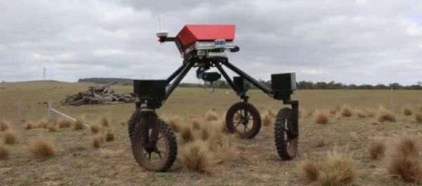 Робот распознает сорняки Робот распознает сорняки - Sputnik Արմենիա