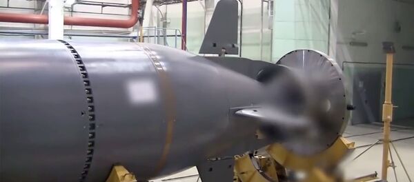 Океанская многоцелевая система «Посейдон» Океанская многоцелевая система «Посейдон» - Sputnik Армения