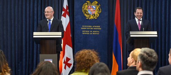 Министры обороны Армении и Грузии Давид Тоноян и Леван Изория на совместном брифинге (21 февраля 2019). Еревaн Министры обороны Армении и Грузии Давид Тоноян и Леван Изория на совместном брифинге (21 февраля 2019). Еревaн - Sputnik Армения