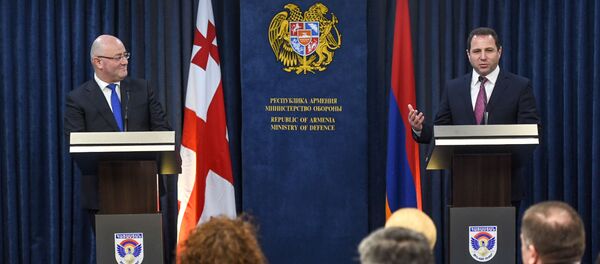Министры обороны Армении и Грузии Давид Тоноян и Леван Изория на совместном брифинге (21 февраля 2019). Еревaн Министры обороны Армении и Грузии Давид Тоноян и Леван Изория на совместном брифинге (21 февраля 2019). Еревaн - Sputnik Արմենիա
