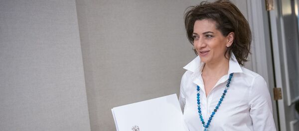 Пресс-конференция супруги премьер-министра Анны Акопян (21 февраля 2019). Еревaн - Sputnik Արմենիա