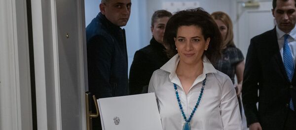 Пресс-конференция супруги премьер-министра Анны Акопян (21 февраля 2019). Еревaн - Sputnik Армения