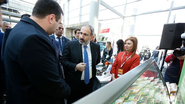 Премьер-министр Никол Пашинян принял участие на конгрессе-выставке Мой шаг во имя Лорийской области (23 февраля 2019). Ванадзор - Sputnik Армения