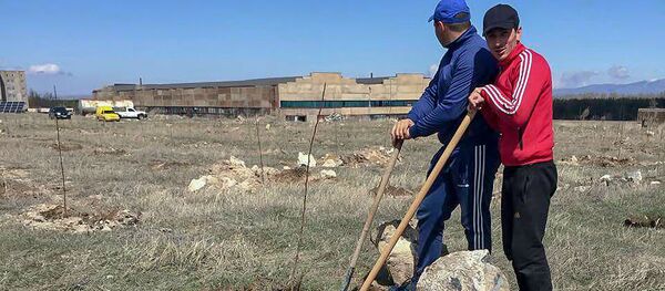 Грушевые сады Саро Казаряна в селе Дзорагюх Грушевые сады Саро Казаряна в селе Дзорагюх - Sputnik Արմենիա