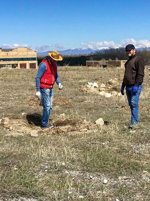 Հարկային տեսուչը փոխել է աշխատանքը. նա մարդկանց համար տանձ կաճեցնի - Sputnik Արմենիա