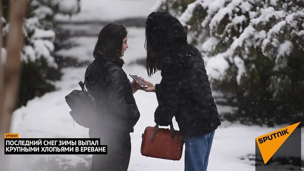 Последний снег зимы выпал крупными хлопьями в Ереване - Sputnik Армения