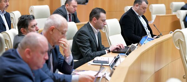 Пленарное заседание парламента Грузии (21 февраля 2019). Тбилиси - Sputnik Армения