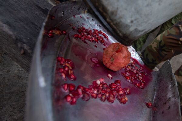 Հայաստանում բանան, զեյթուն և զկեռ է աճում․ սահմանապահ զորքերի վետերանի էկզոտիկ այգին Հայաստանում բանան, զեյթուն և զկեռ է աճում․ սահմանապահ զորքերի վետերանի էկզոտիկ այգին - Sputnik Արմենիա