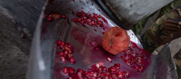 Гранатовый сок из плодов сада Микаэла Цатряна, Мегри. - Sputnik Армения