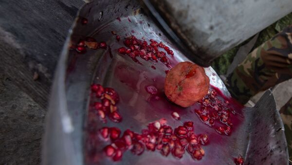 Гранатовый сок из плодов сада Микаэла Цатряна, Мегри. - Sputnik Армения