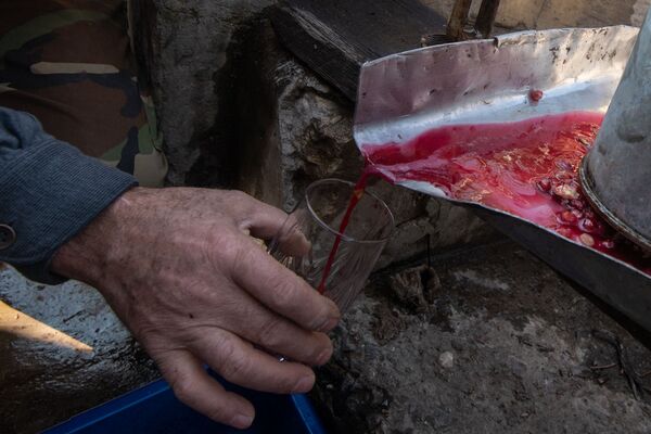 Հայաստանում բանան, զեյթուն և զկեռ է աճում․ սահմանապահ զորքերի վետերանի էկզոտիկ այգին Հայաստանում բանան, զեյթուն և զկեռ է աճում․ սահմանապահ զորքերի վետերանի էկզոտիկ այգին - Sputnik Արմենիա