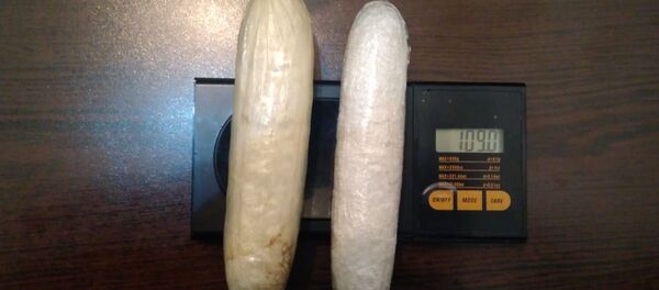 Обнаруженные в ходе досмотра наркотические вещества - Sputnik Արմենիա