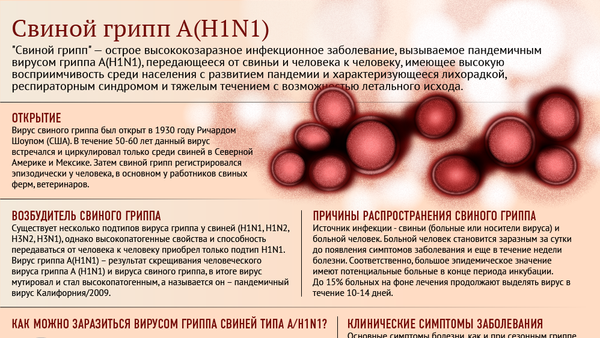 Все способы защиты от гриппа А(Н1N1) - Sputnik Армения