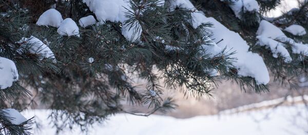 Зима в Армении Зима в Армении - Sputnik Արմենիա