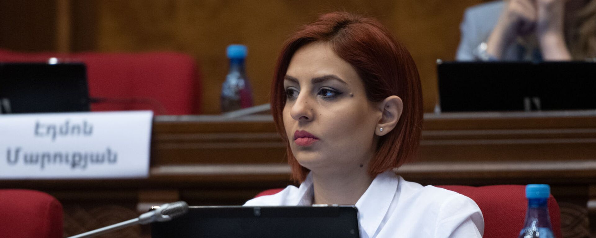 Депутат от фракции Просвещенная Армения Ани Самсонян на пленарном заседании Парламента Армении (5 марта 2019). Еревaн Депутат от фракции Просвещенная Армения Ани Самсонян на пленарном заседании Парламента Армении (5 марта 2019). Еревaн - Sputnik Армения, 1920, 05.04.2021