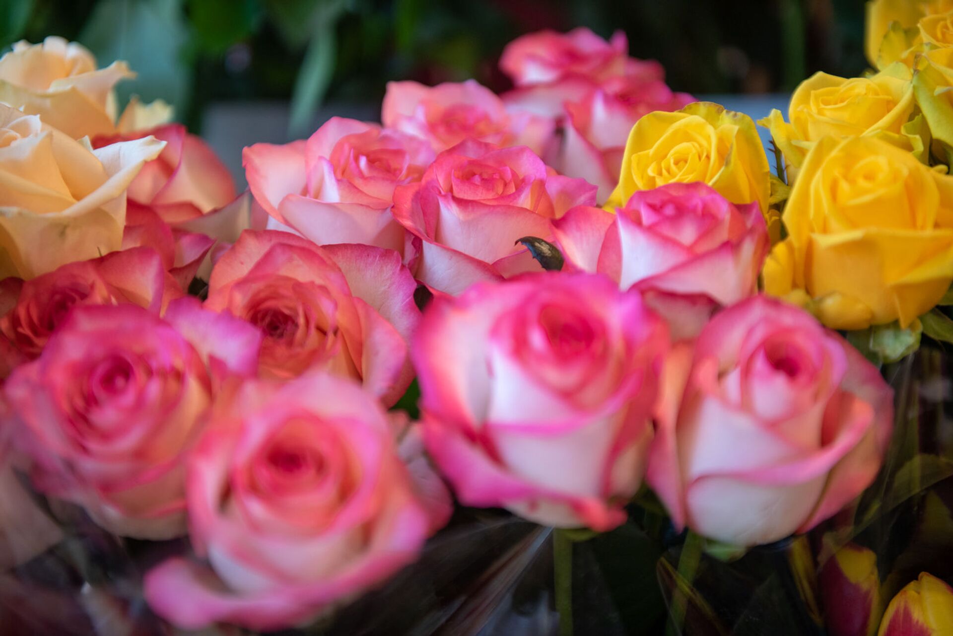 Как признаться девушке в чувствах с помощью букета на 8 марта? - Sputnik Армения, 1920, 07.03.2021