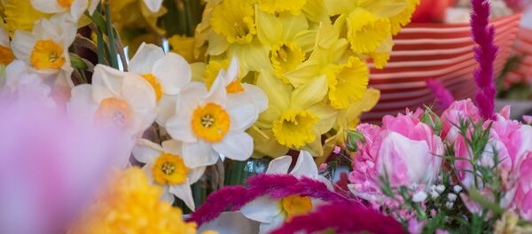 Цветочная лавка Цветочная лавка - Sputnik Արմենիա