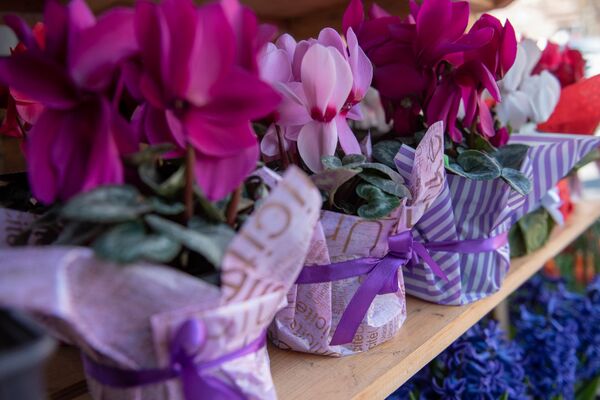 Ծաղկեփունջ` մեկ միլիոն դրամով, կամ հնարավոր է արդյո՞ք  էժան ծաղիկներ գնել մարտի 8–ին - Sputnik Արմենիա