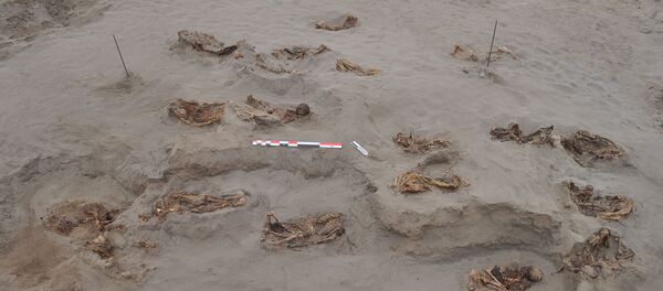 Следы массового ритуального убийства детей и животных в Перу - Sputnik Армения