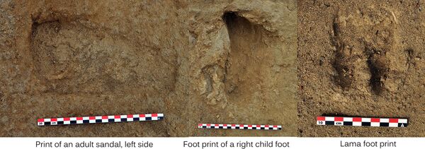 Ритуальное жертвоприношение: в Перу найдены следы самого массового убийства детей - фото Ритуальное жертвоприношение: в Перу найдены следы самого массового убийства детей - фото - Sputnik Армения