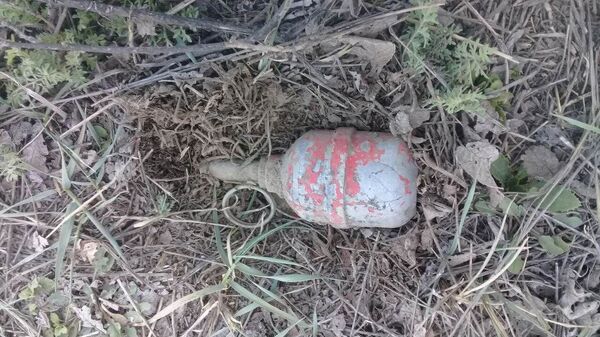 Сельский житель обнаружил гранату - Sputnik Արմենիա
